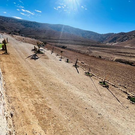 Petra Royal Ranch Panzió Vádi Músza Kültér fotó