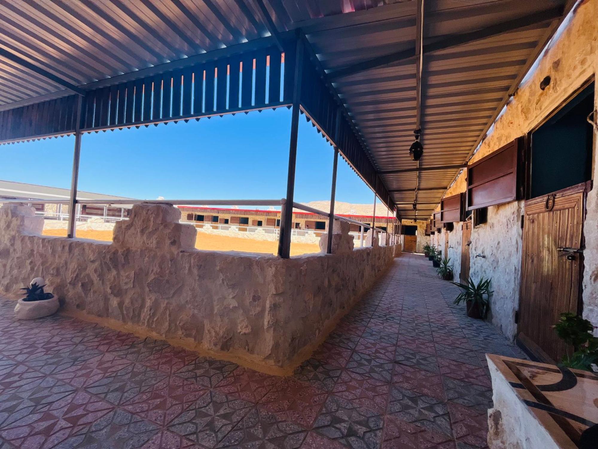 Petra Royal Ranch Panzió Vádi Músza Kültér fotó