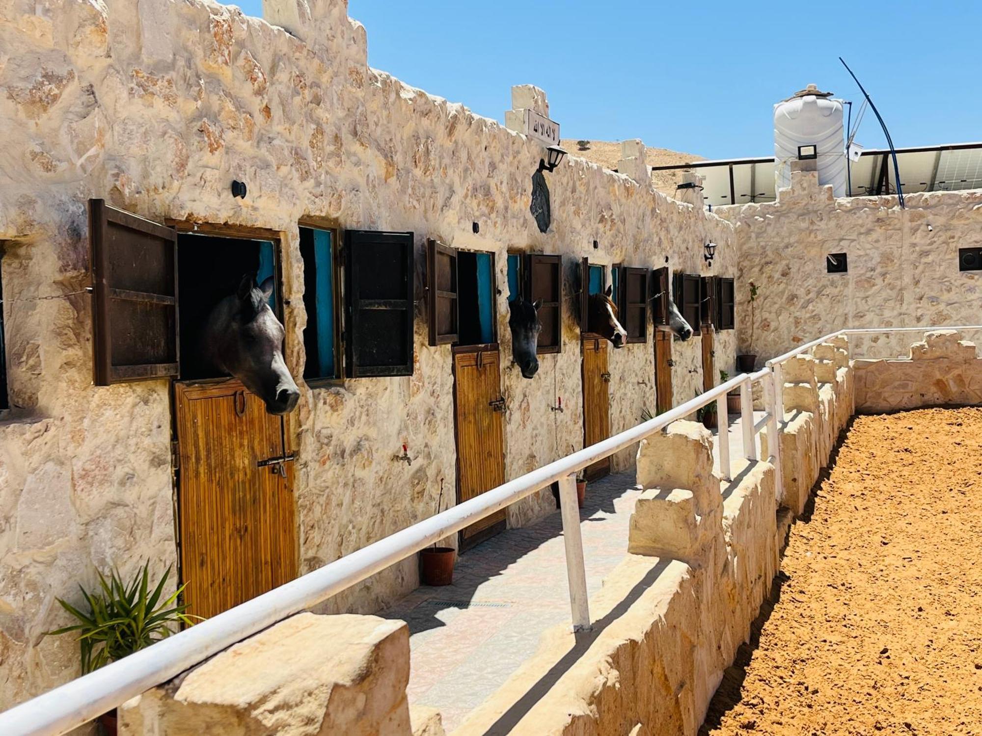 Petra Royal Ranch Panzió Vádi Músza Kültér fotó