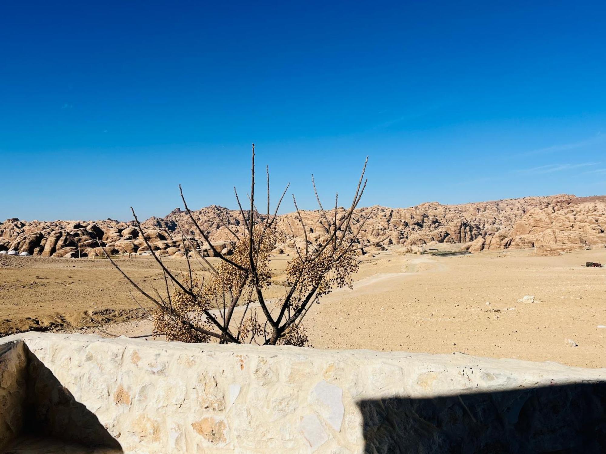 Petra Royal Ranch Panzió Vádi Músza Kültér fotó