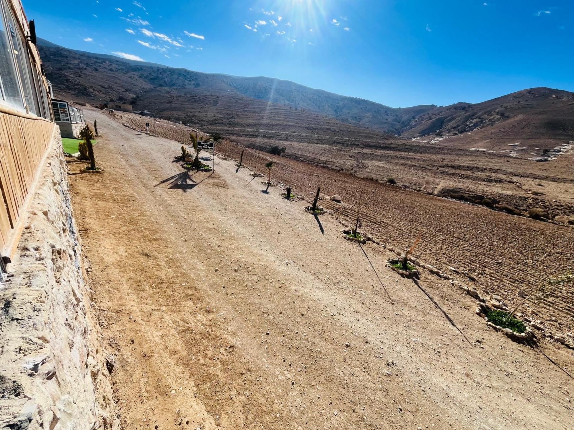 Petra Royal Ranch Panzió Vádi Músza Kültér fotó