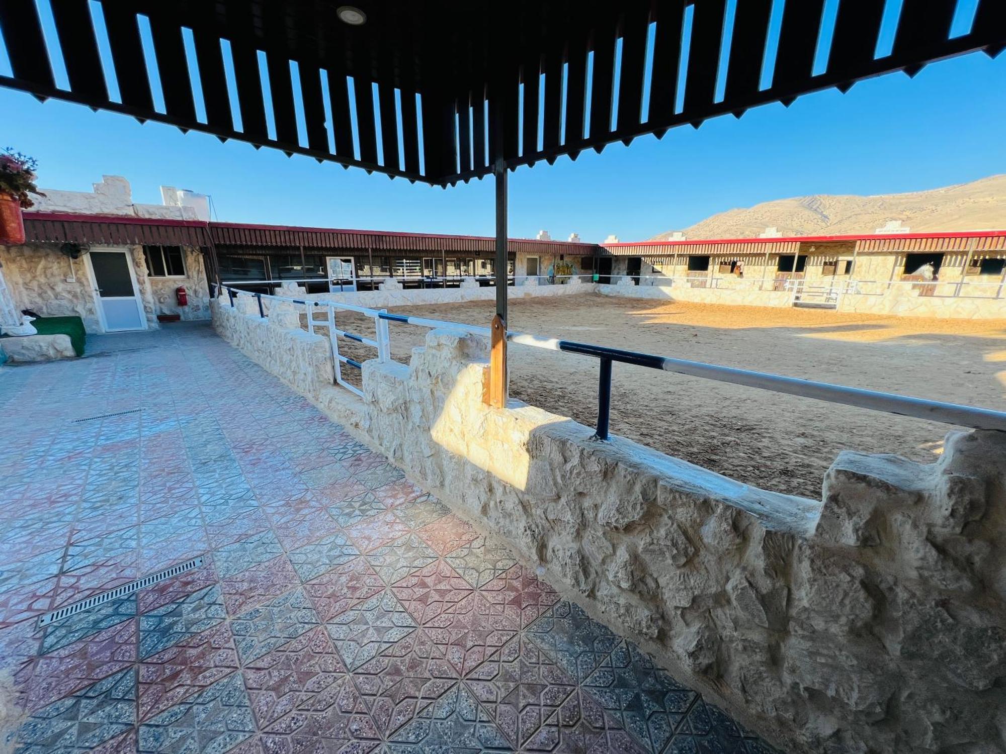 Petra Royal Ranch Panzió Vádi Músza Kültér fotó