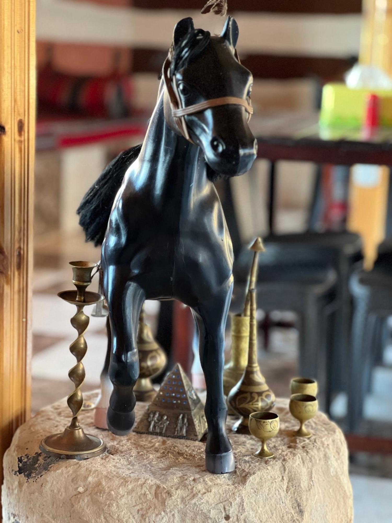 Petra Royal Ranch Panzió Vádi Músza Kültér fotó